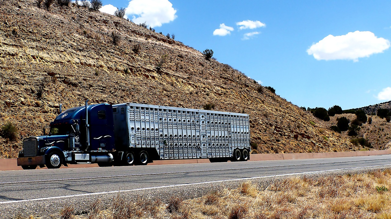 transport